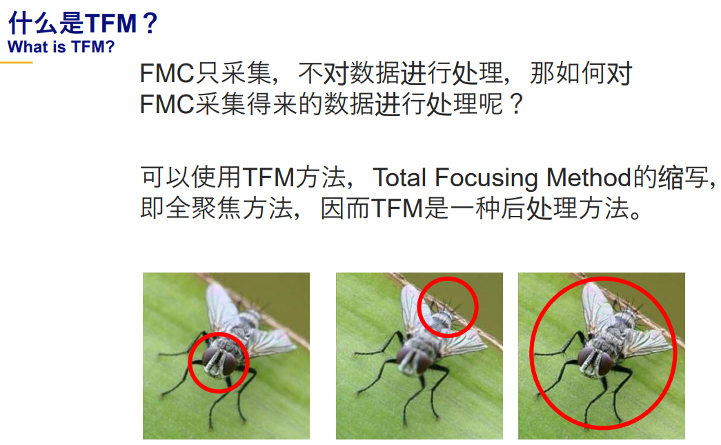 ASME NDT全聚焦技术介绍 